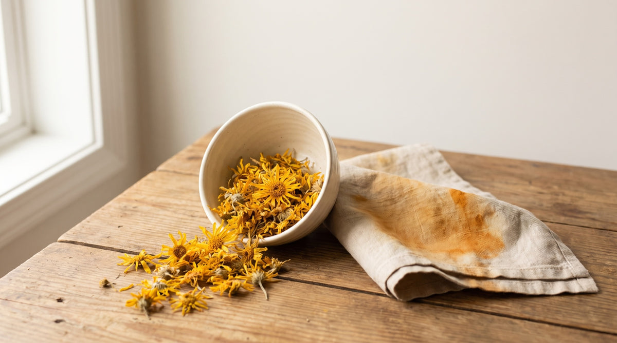 Fiori secchi di arnica in una ciotola di ceramica su legno chiaro