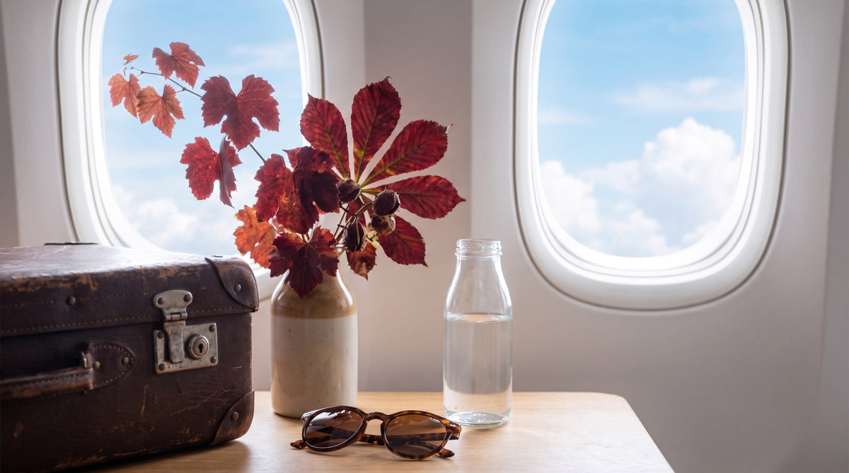 Valigia, occhiali e acqua al finestrino dell'aereo - gambe in viaggio, Natural Novi