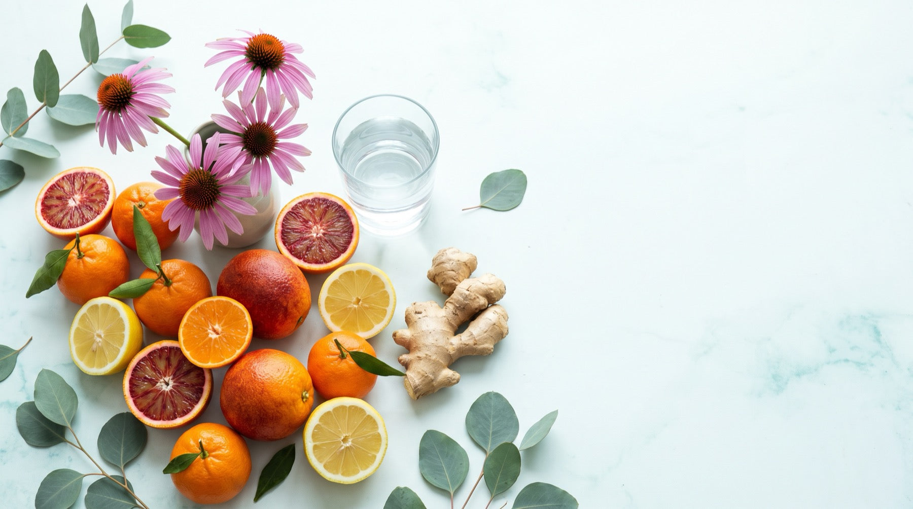 Agrumi, fiori di echinacea, zenzero e un bicchiere d'acqua: sostenere le difese immunitarie